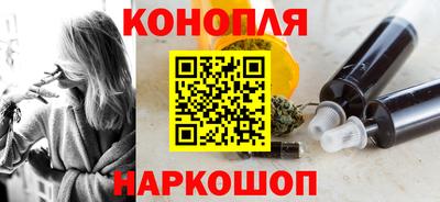 амф Гатчина