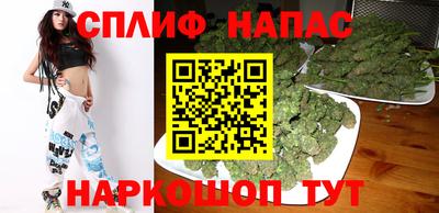 амф Гатчина