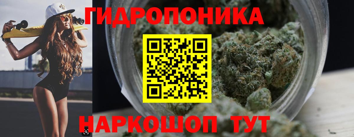 МАРИХУАНА SATIVA & INDICA Богданович